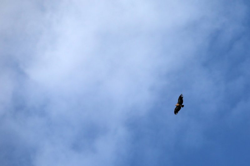 2 bin 522 rakımlı tepede vatan nöbeti