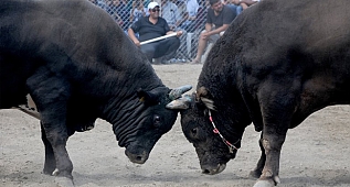 Karagöl Yayla Şenlikleri nefes kesti