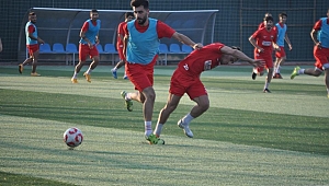 Çayırova avını bekliyor