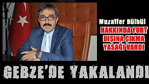 Bülbül Gebze'de yakalandı