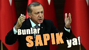 Bunlar SAPIK ya!