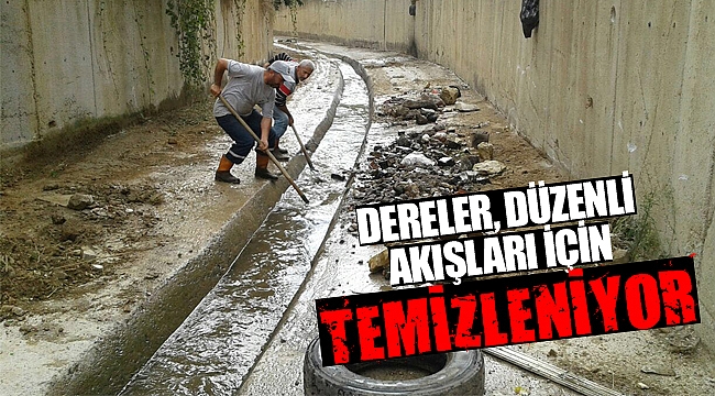 Derelerde temizlik çalışmasına başlandı
