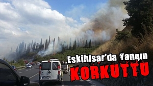 Eskihisar'da yangın paniği