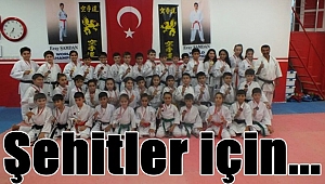 Gebze Karate şehitler için!