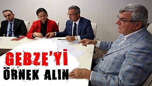 Gebze'yi örnek alın