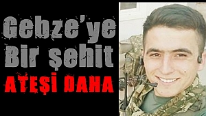 Gebzeli Polat şehit oldu