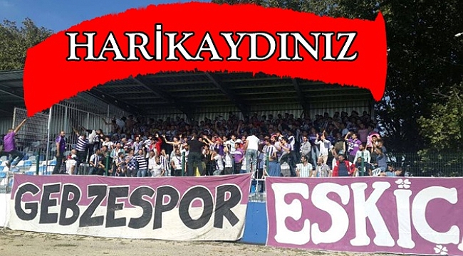 Harikaydınız
