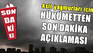 Hükümet asit yağmurlarına noktayı koydu