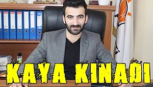 Kaya Kınadı