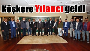 Köşker'e Yılancı geldi