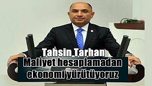 Maliyet hesaplamadan ekonomi yürütüyoruz