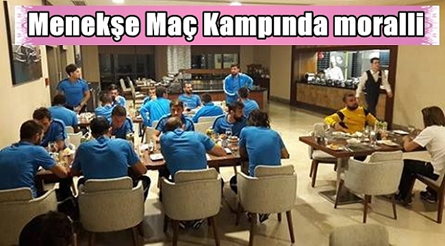 Menekşe dinleniyor!