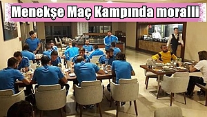 Menekşe dinleniyor!