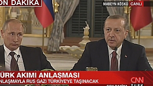 Putin'den doğalgaza indirim müjdesi