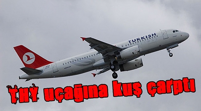 THY uçağına kuş çarptı