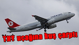 THY uçağına kuş çarptı