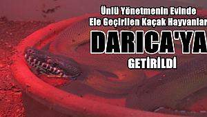 Ünlü Yönetmenin Evinde Ele Geçirilen Kaçak Hayvanlar Koruma Altına Alındı