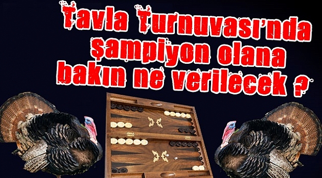 Zarlar Hindi aşkına atılacak!