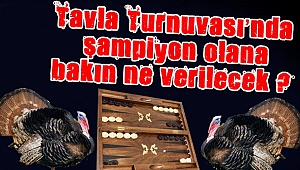 Zarlar Hindi aşkına atılacak!