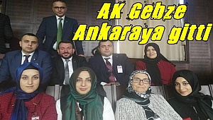 Ak Gebze Ankara'ya gitti