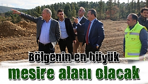 Başkan Karabacak, mesire alanında incelemeler yaptı