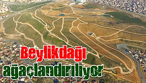 Beylikdağı’nda ağaçlandırma çalışmaları devam ediyor