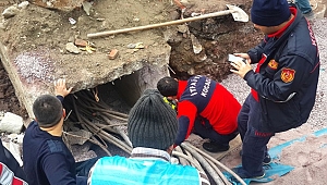 Esnafın Dikkati Köpekleri Kurtardı!