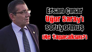 Ersan Çınar’a soruyoruz; “Ne yapacaksın?”