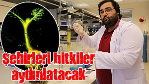 Evlerdeki aydınlatma sistemlerinin yerini Işık Yayan Bitkiler alacak