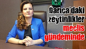 Hürriyet, zeytinliklerin imara açılmasını meclise taşıdı