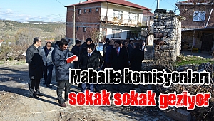 Mahalle komisyonları sorunları yerinde tespit ediyor