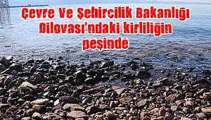 Çevre Ve Şehircilik Bakanlığı Dilovası’ndaki kirliliğin peşinde