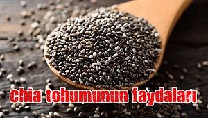 Chia tohumunun faydaları