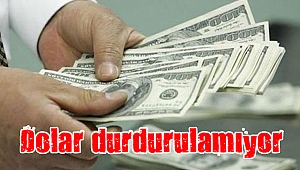 Dolar yeni haftaya yükselişle başladı