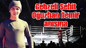 Gebze Arena'da Boks şöleni var