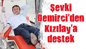 “Haydi gönüllü kan bağışçısı olmaya''