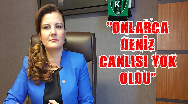 Hürriyet, çevre felaketinin peşine düştü
