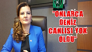 Hürriyet, çevre felaketinin peşine düştü