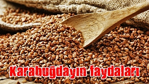 Karabuğdayın faydaları