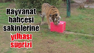 Onlarda yılbaşında unutulmadı