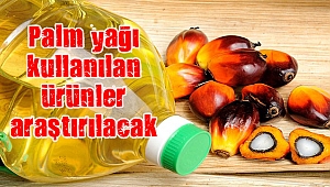 Palm yağı kullanılan ürünler araştırılacak