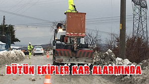 SEDAŞ kar alarmını dikkate aldı