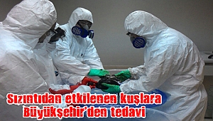 Sızıntıdan etkilenen kuşlara Büyükşehir’den tedavi