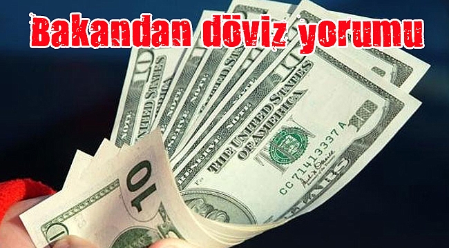 "TCMB'nin eli kolu bağlı değil"