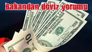 "TCMB'nin eli kolu bağlı değil"