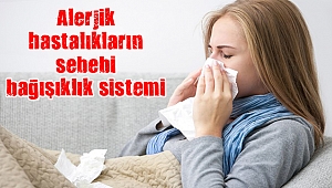 Alerjik hastalıkların sebebi bağışıklık sistemi