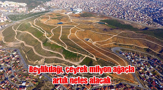 Beylikdağı, çeyrek milyon ağaçla artık nefes alacak
