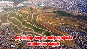 Beylikdağı, çeyrek milyon ağaçla artık nefes alacak