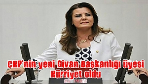 CHP’nin yeni Divan Başkanlığı üyesi Hürriyet oldu