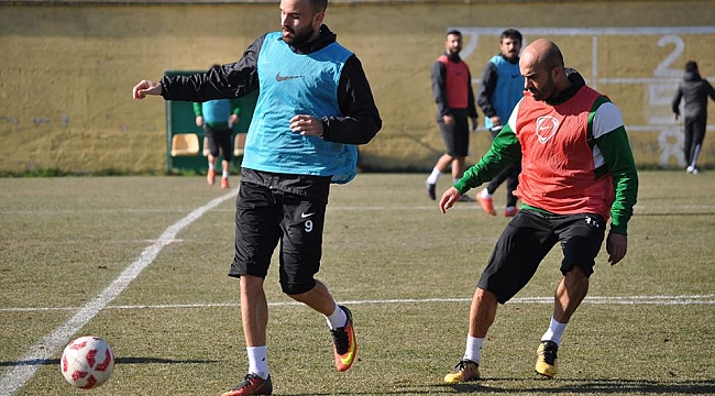 Darıca sünger çekti